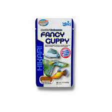 Hikari - fansy guppy