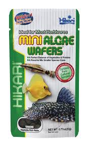 Hikari mini algae wafers