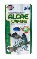 Hikari algae wafers
