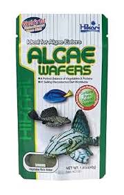 Hikari algae wafers