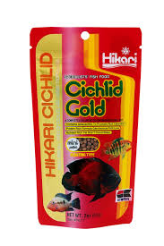 Hikari ciclids goldmini