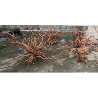 RASAMALA WOOD