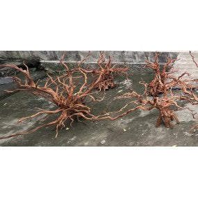 RASAMALA WOOD