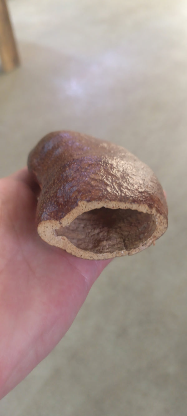 Courbaril pod