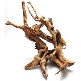 Madera spider wood