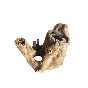 Madera tree stump