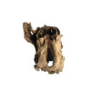 Madera tree stump
