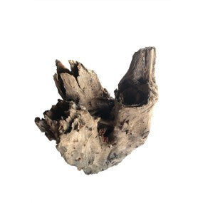 Madera tree stump