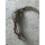 Raices water root