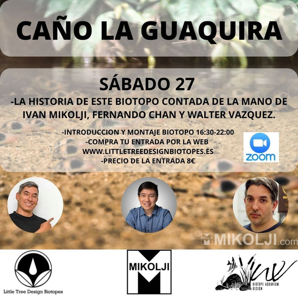 Evento Caño la Guaquira (diferido)