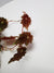 BEGONIA MAURANDIAE