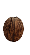 MINTOLA POD