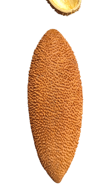 PENTE MACAO POD