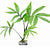 MONSTERA SUBPINNATA
