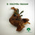 BUCEPHALANDRA SERIMBU BROWN