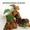 BUCEPHALANDRA IO BLACK