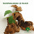 BUCEPHALANDRA IO BLACK