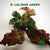 BUCEPHALANDRA LALIANA GREEN