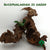 BUCEPHALANDRA IO GREEN