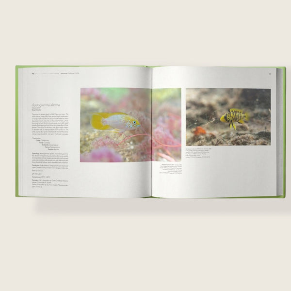 FISHES OF THE ORINOCO IN THE WILD PROMO EN WEB MIKOLJI