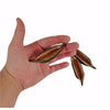 KURRAJONG POD