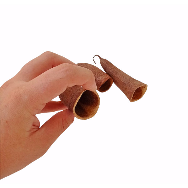 COURATARI POD