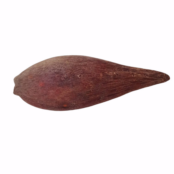 CANOINHAS POD