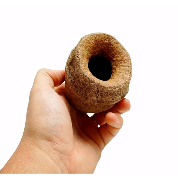 SAPUCAIA POD