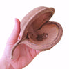 PTERYGOTA POD