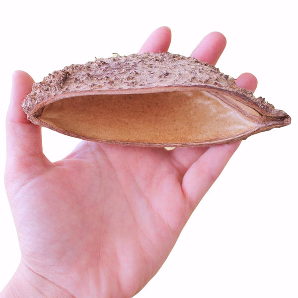 BOLSTER POD