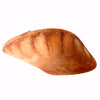 ISOBERLINIA POD