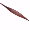 PALM POD