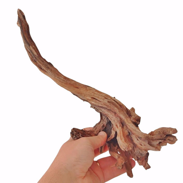 DRIFT WOOD