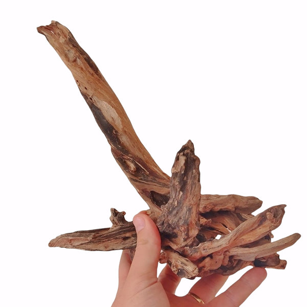 DRIFT WOOD