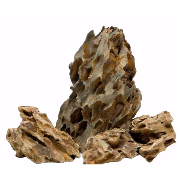 Roca Dragón