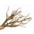 IGARAPE WOOD