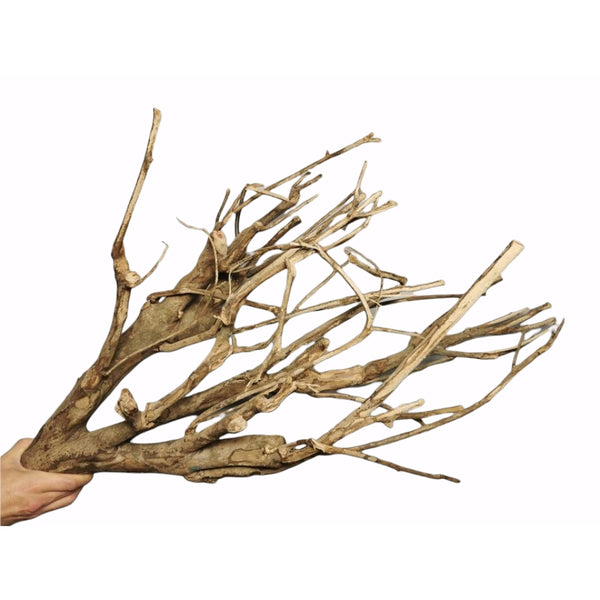 IGARAPE WOOD