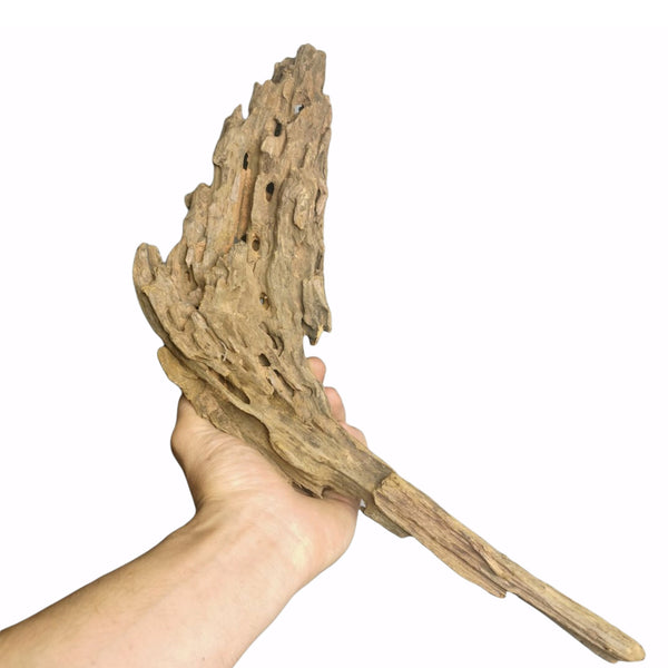 DRAGON WOOD