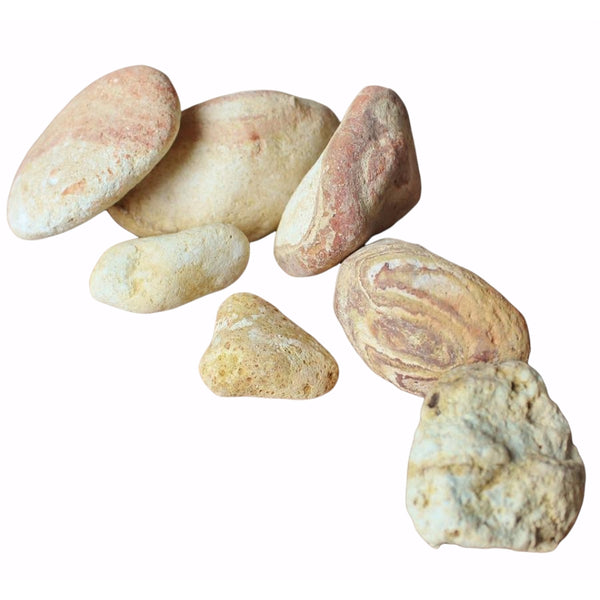 River Tiger Stone