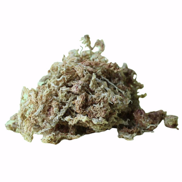 LTB SPHAGNUM MOSS