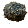 Wabi Ball
