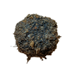 Wabi Ball