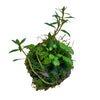 Wabi Ball