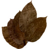 HOJA DE SAL(SHOREA ROBUSTA)