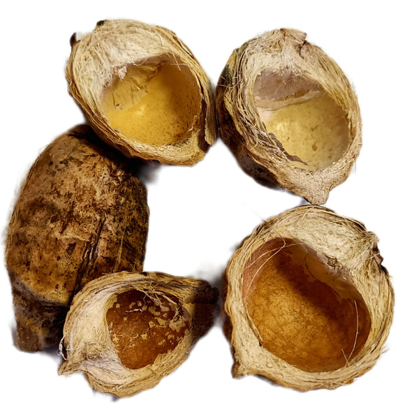 ARECA POD