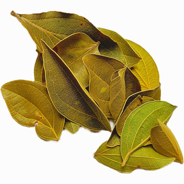 CINCHONA OFFICIONALIS