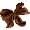 CALOTROPIS POD