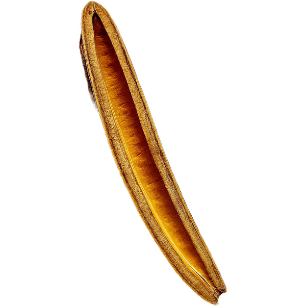Cybistax Antisyphilica Pod