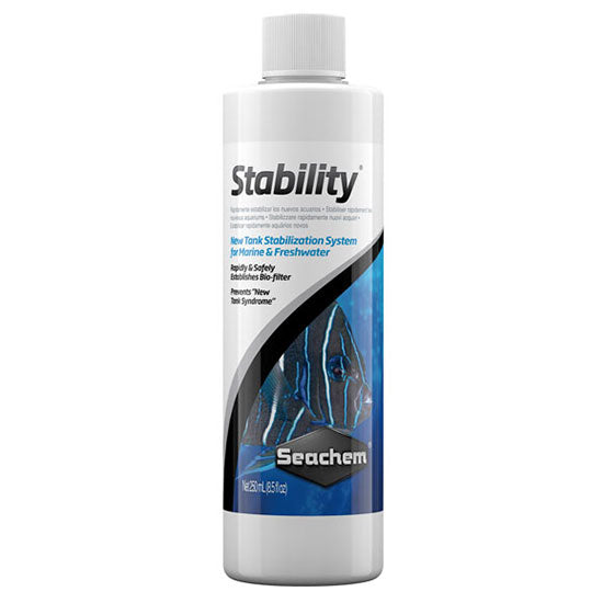 STABILITY