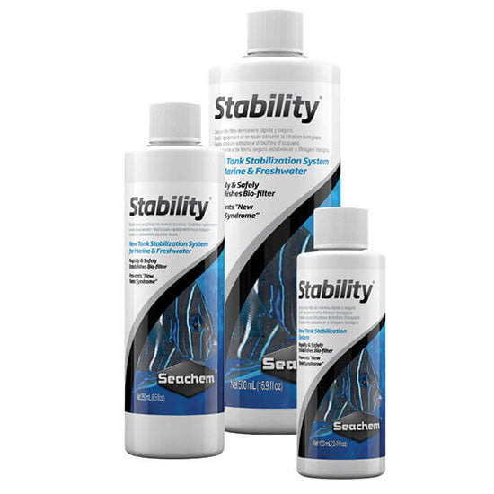 STABILITY